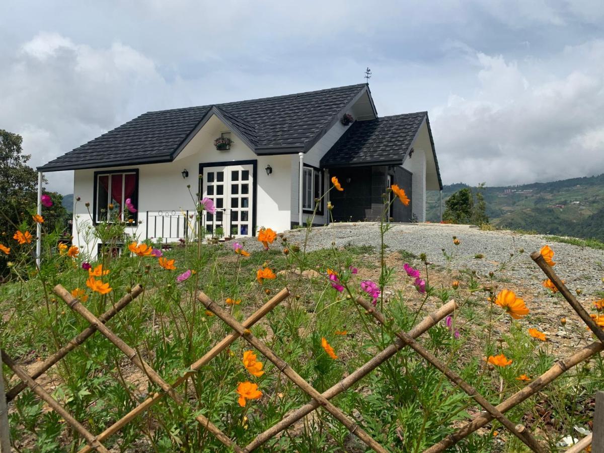 Hounon White Chimney Cottage راناوْ المظهر الخارجي الصورة
